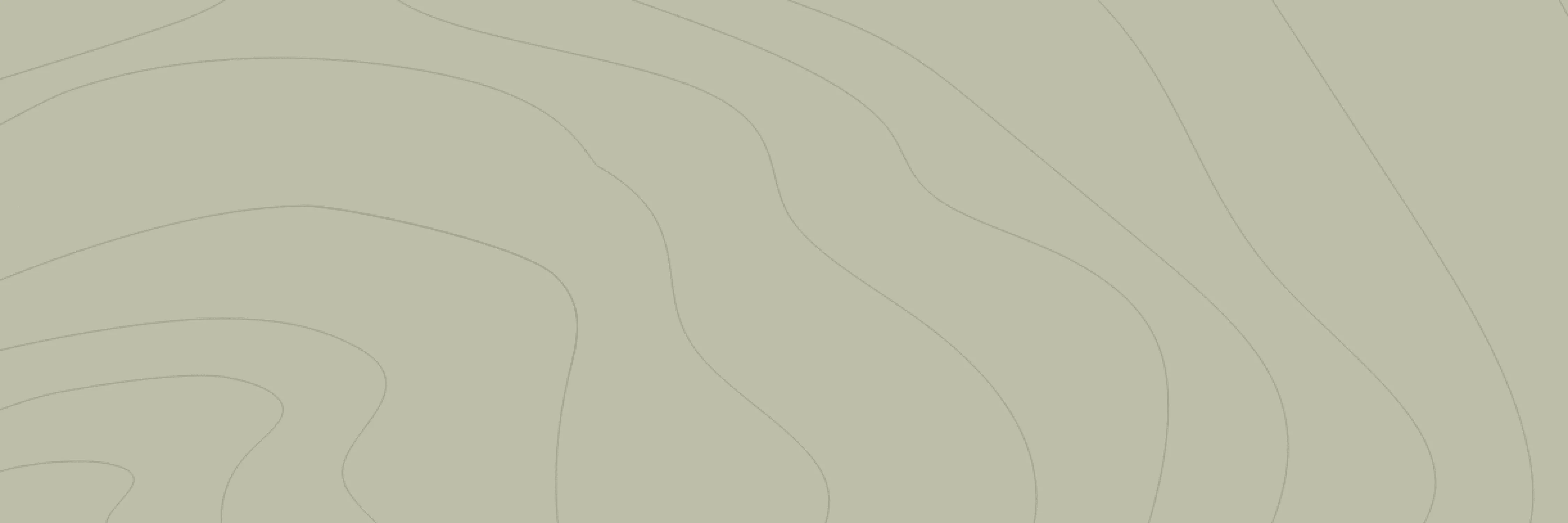 kreatives Muster auf grünem Hintergrund